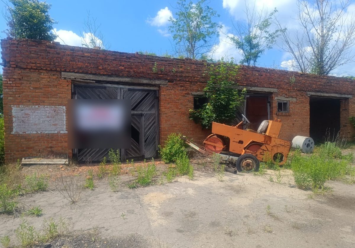 车库（Б），顶部砖砌体已损坏，屋顶长树。