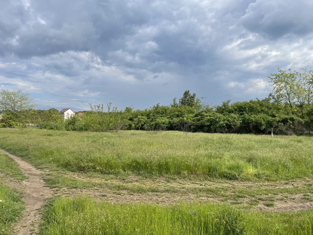 现场：草地和土路，远处是已建成的住宅（执行员上传，春季）。